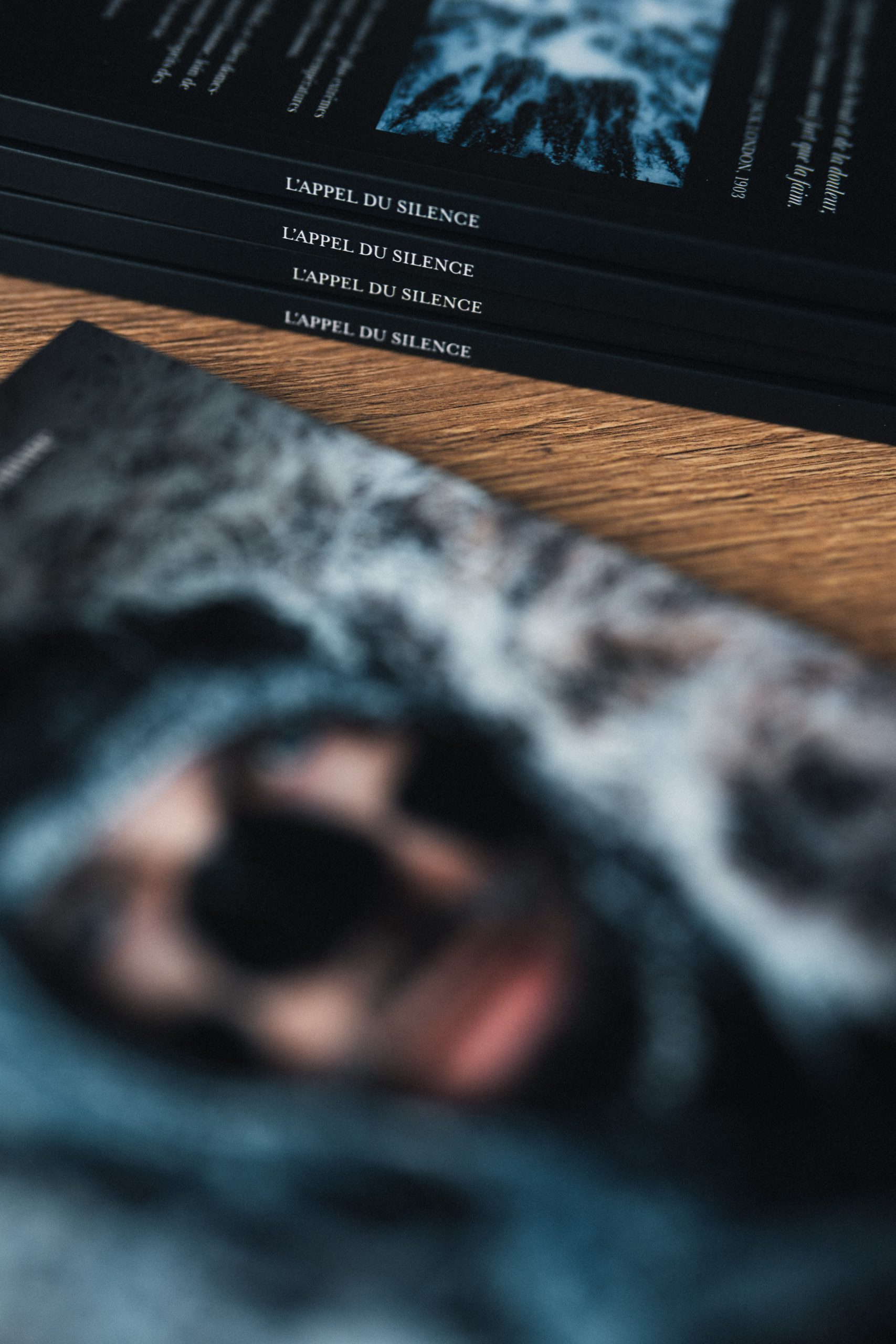 L&rsquo;APPEL DU SILENCE